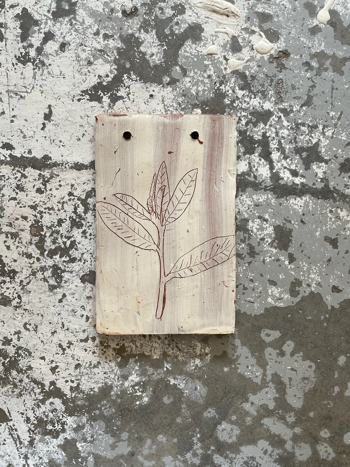 Rain Catcher