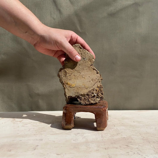 Grace McCarthy: Enrapture
